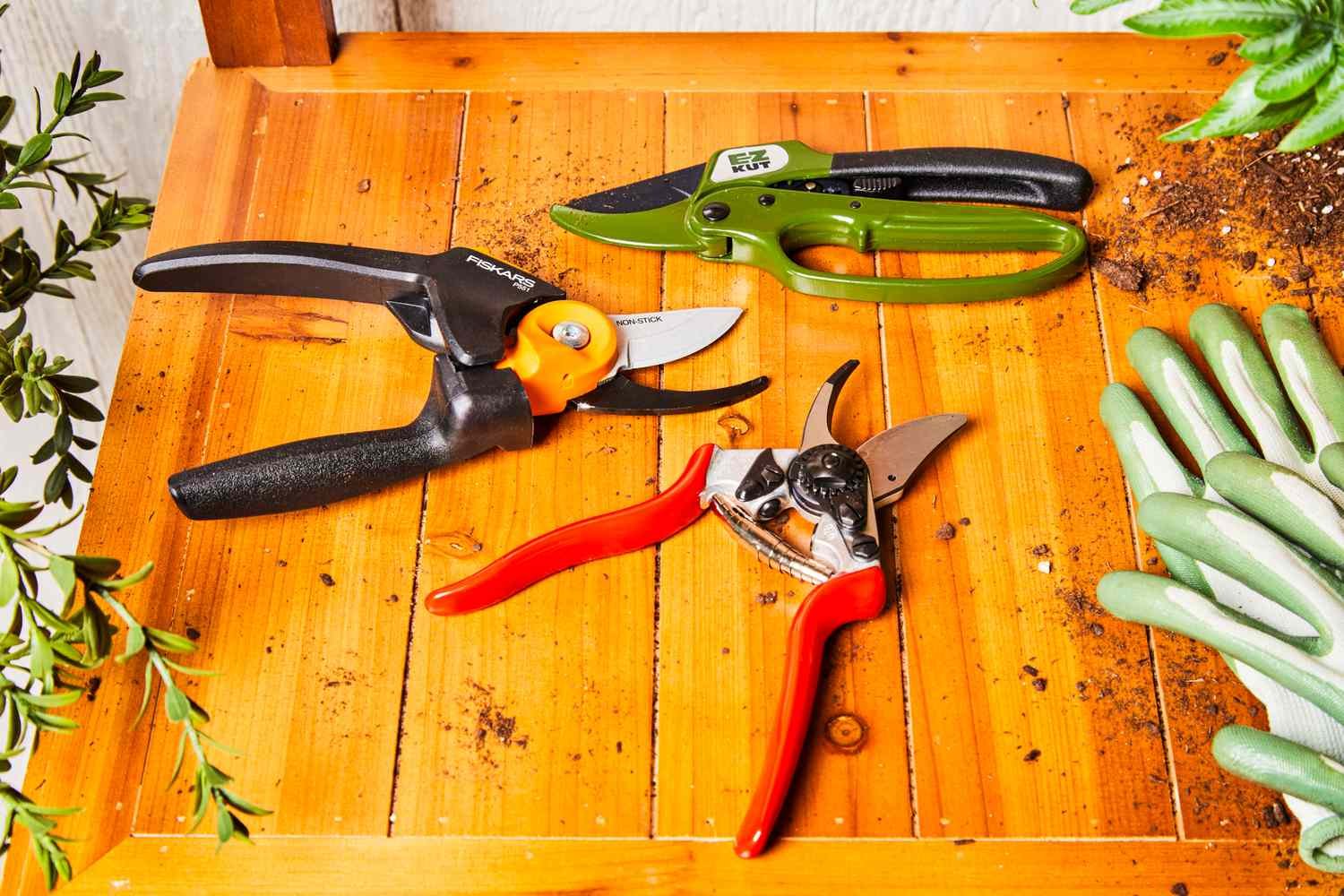 Best Pruning Shears