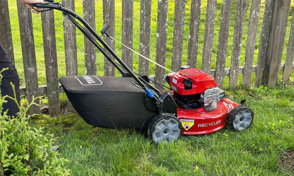 Best Push Mowers