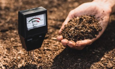 Best Soil pH Meters