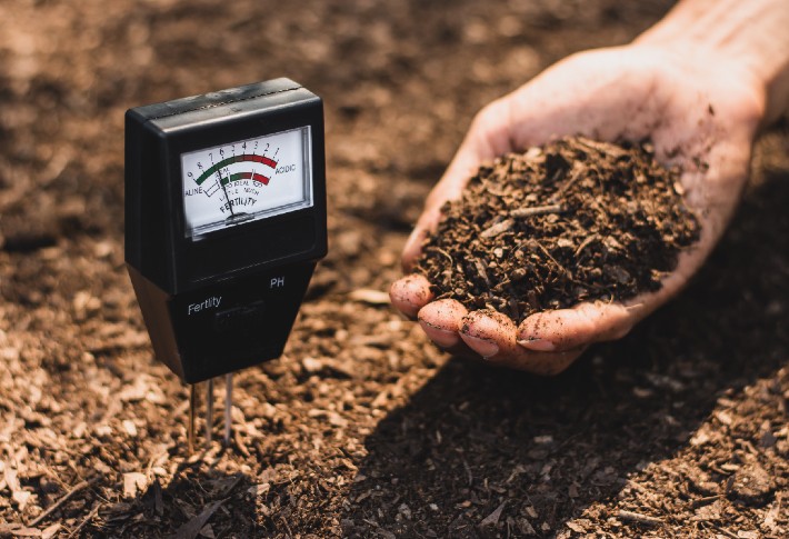 Best Soil pH Meters